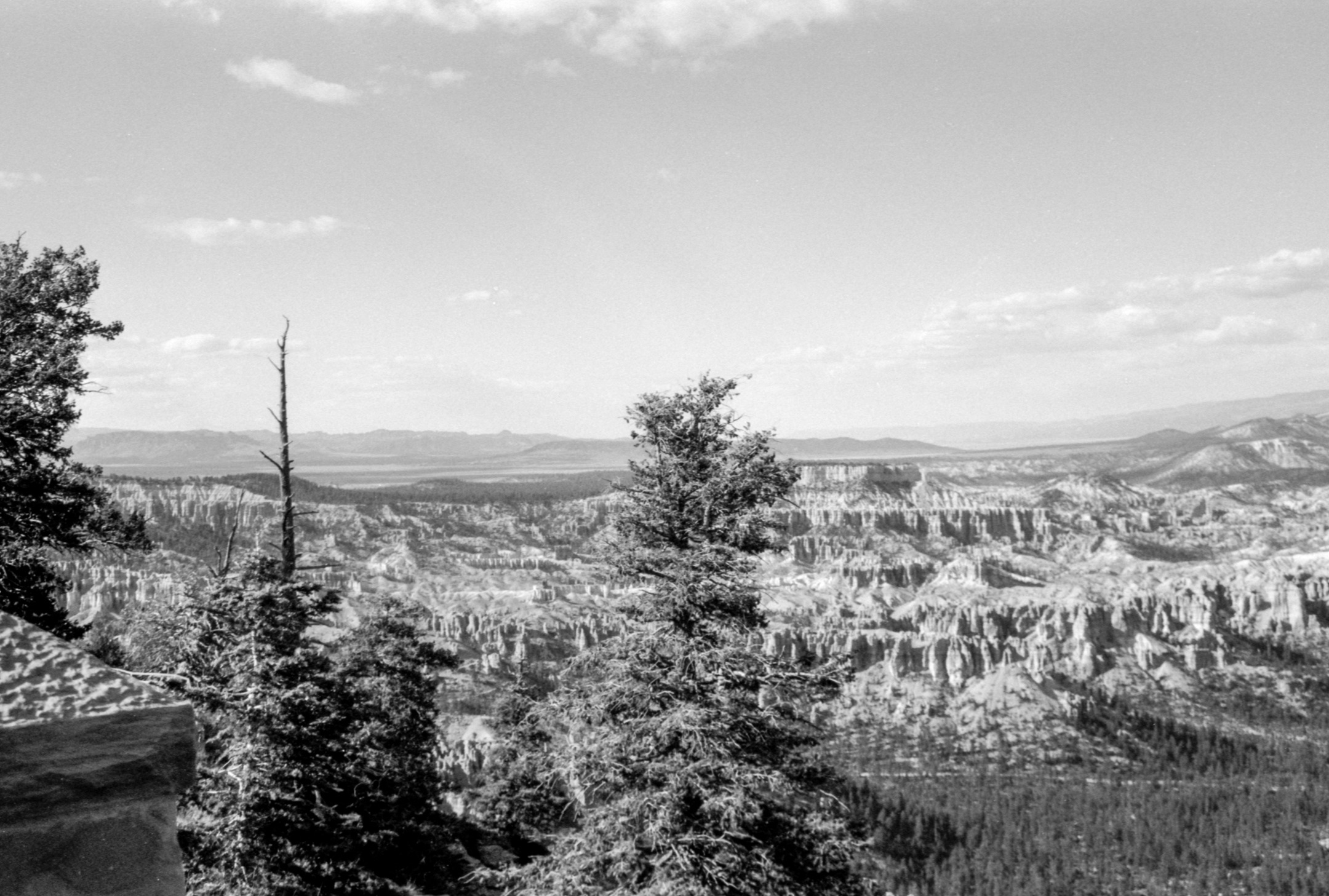 The Amazing Southwest on B&W film